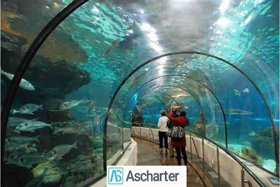 آکواریوم کیش